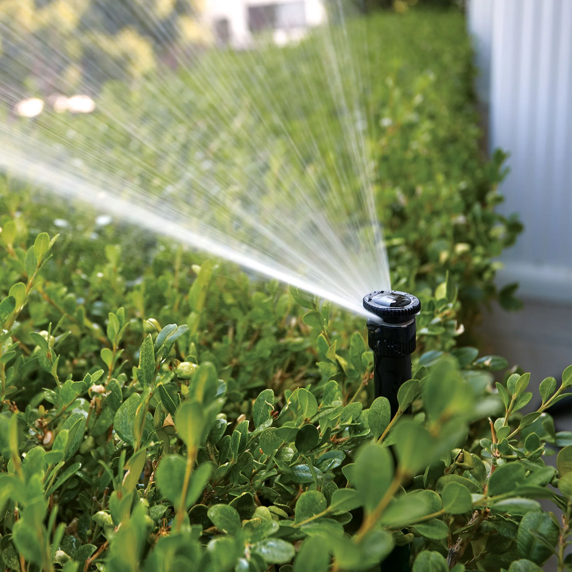Aluminum Adjustable Shrub Risers - OrbitOnline