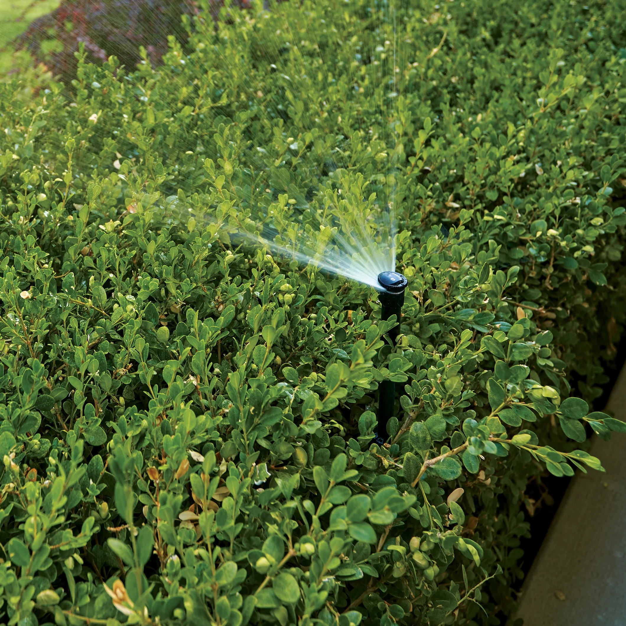 Aluminum Adjustable Shrub Risers - OrbitOnline